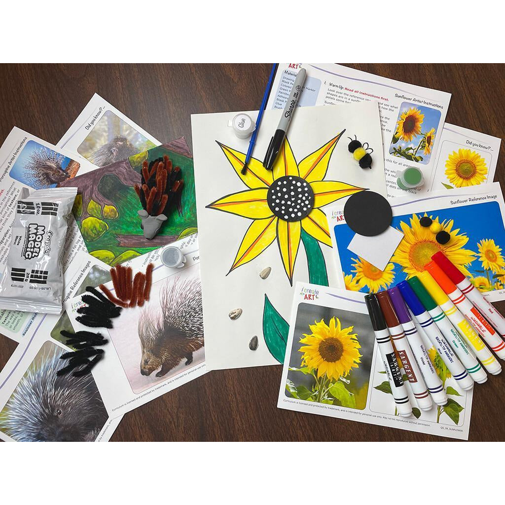 YA: Porcupine & Sunflower Introductory Box I Create Art